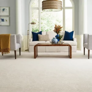 Champagne Color Shaw Floors carpet in living room | Brooks Flooring Services Inc