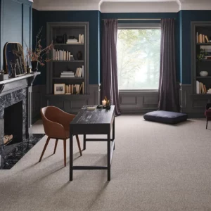 Beige-gray Shaw Floors carpet in a darkly lit residential office | Brooks Flooring Services Inc